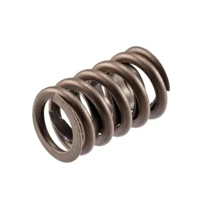 Melling, VS739, GM dual valve spring, 116 psi