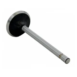Ford 302 5.0 Intake Valve V1732