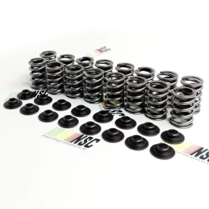Valve spring NSCP-0035 | NSC Performance