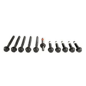 MAHLE GS33316 Ford 289 302 head bolt set