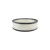 Baldwin PA693 filtr powietrza 12-3/4