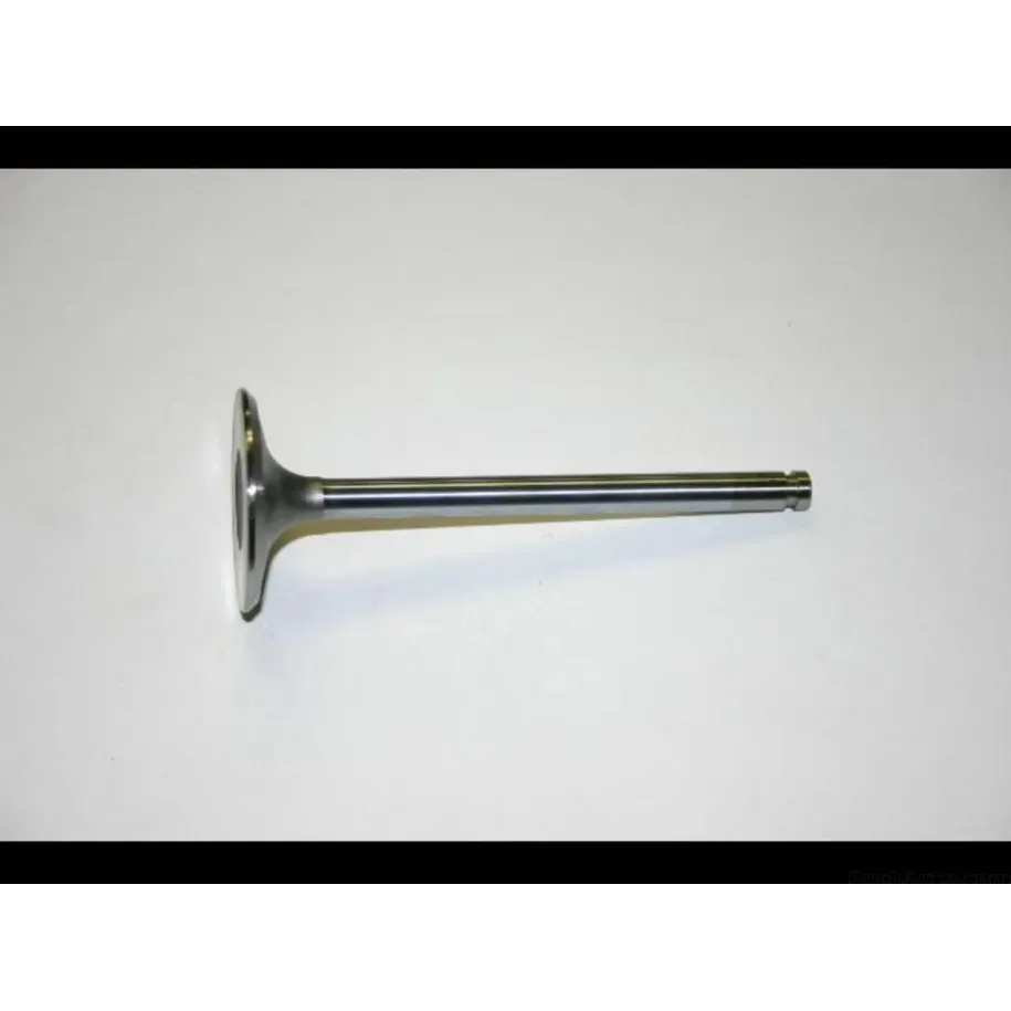 SBI 10056 Nissan Datsun L28 intake valve