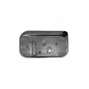 Raybestos 515533 – filtr skrzyni TH400