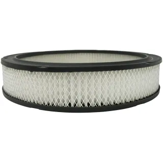 CarQuest R88040 PA3195-family air filter