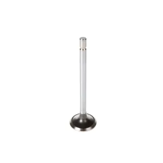 Zawór wydechowy Ford SBF 302/351W V1237 1968–2001