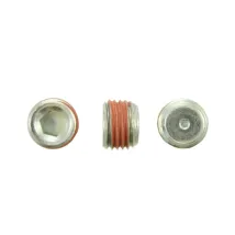 Pioneer PP-567-T-25 korek 1/4 NPT PTFE