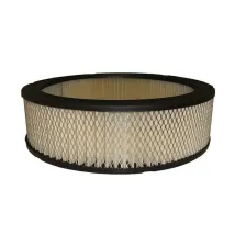 Purolator AF91 filtr powietrza